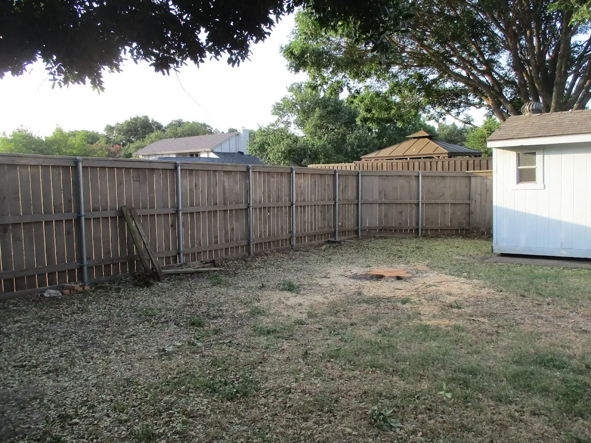 Cleared yard after professional tree removal in Rock River